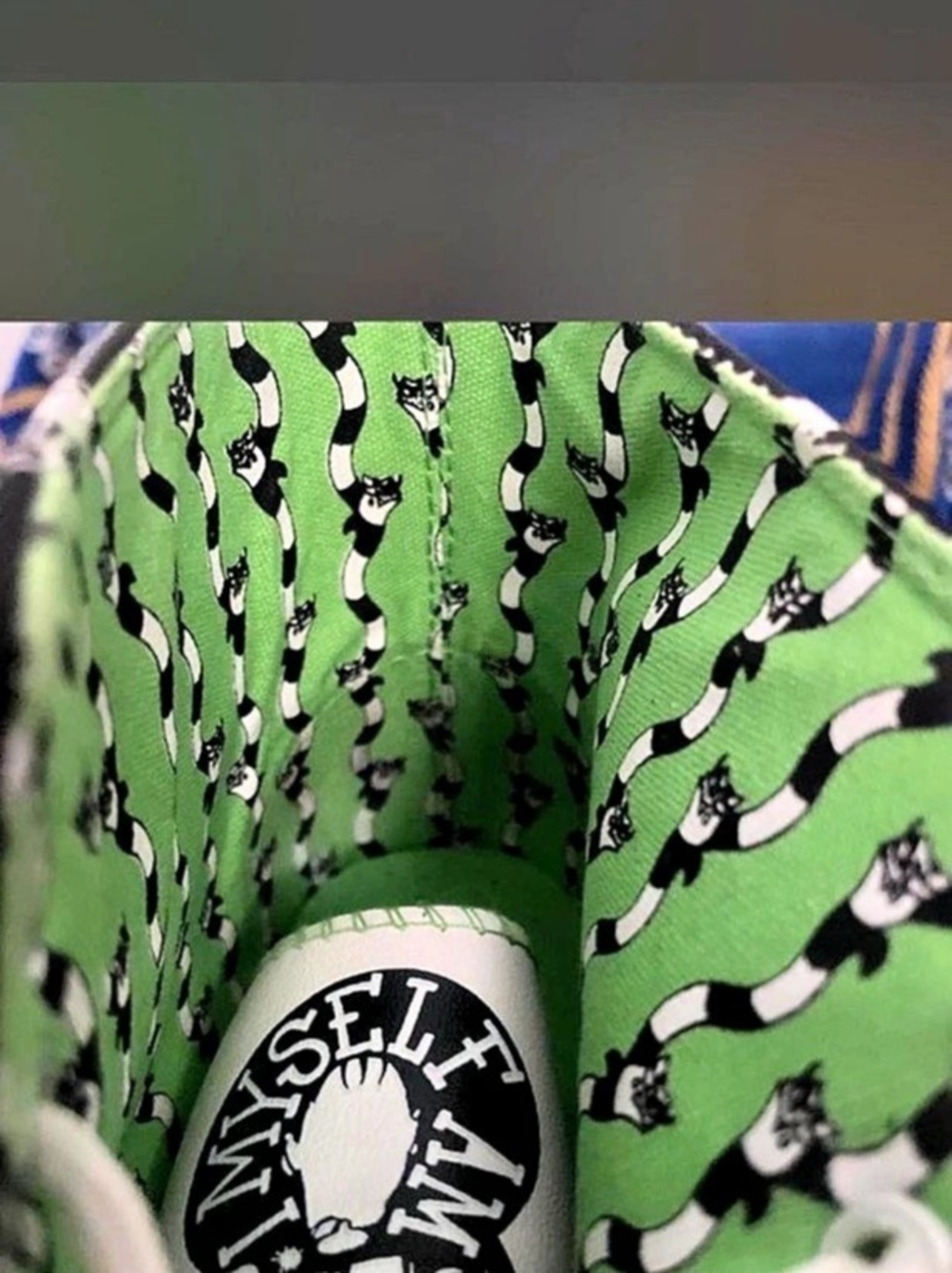 Beetlejuice Striped Green & Black Sneakers Like New - Picture 5 of 6